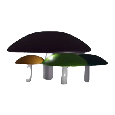 Mushroom Solutions